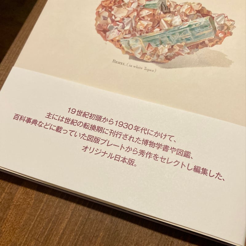 増補愛蔵版 美しいアンティーク鉱物画の本 | 本屋 itoito