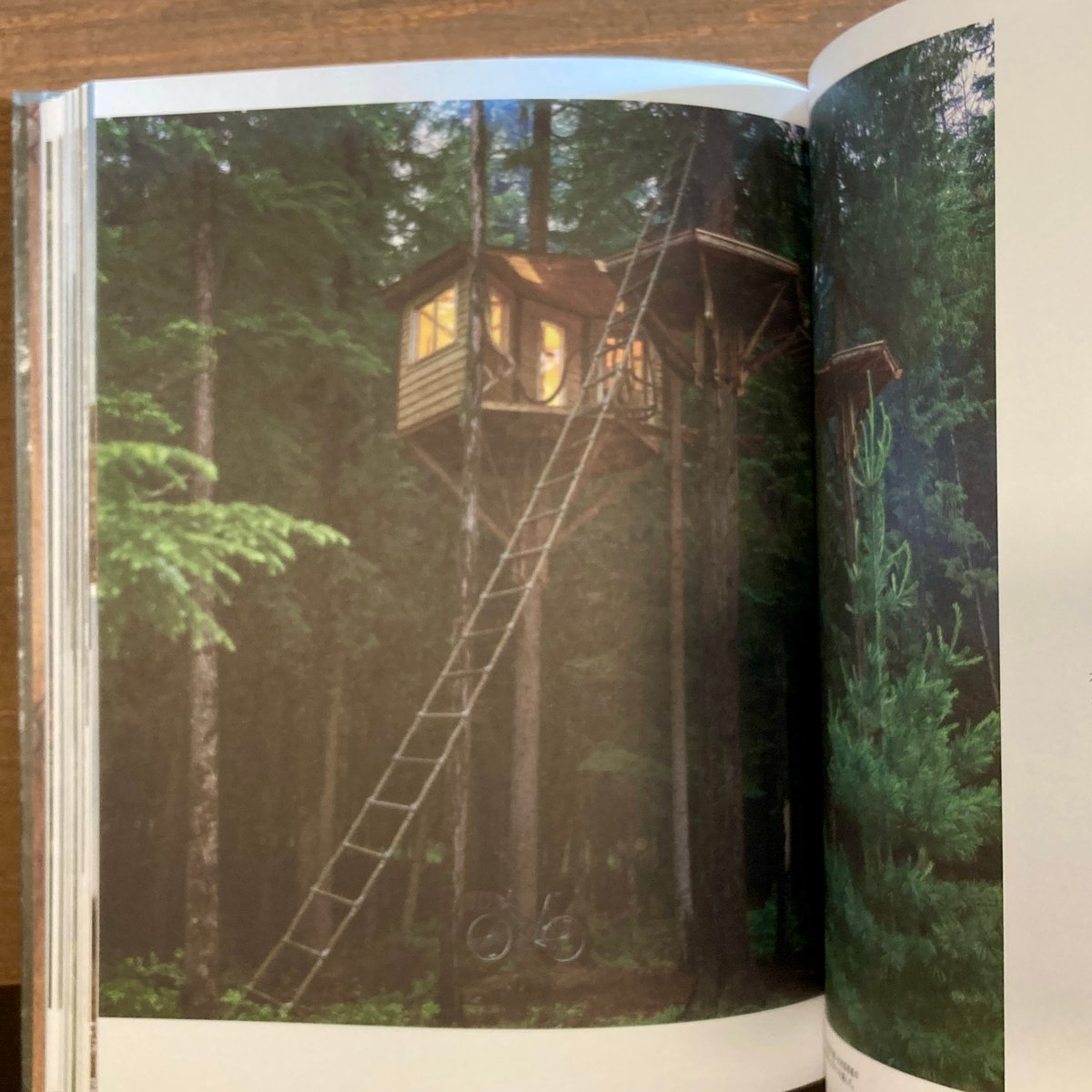 Cabin Porn 2冊 Cabin Porn: Inside: Klein, Zach, Moon, Freda: 9780316423090