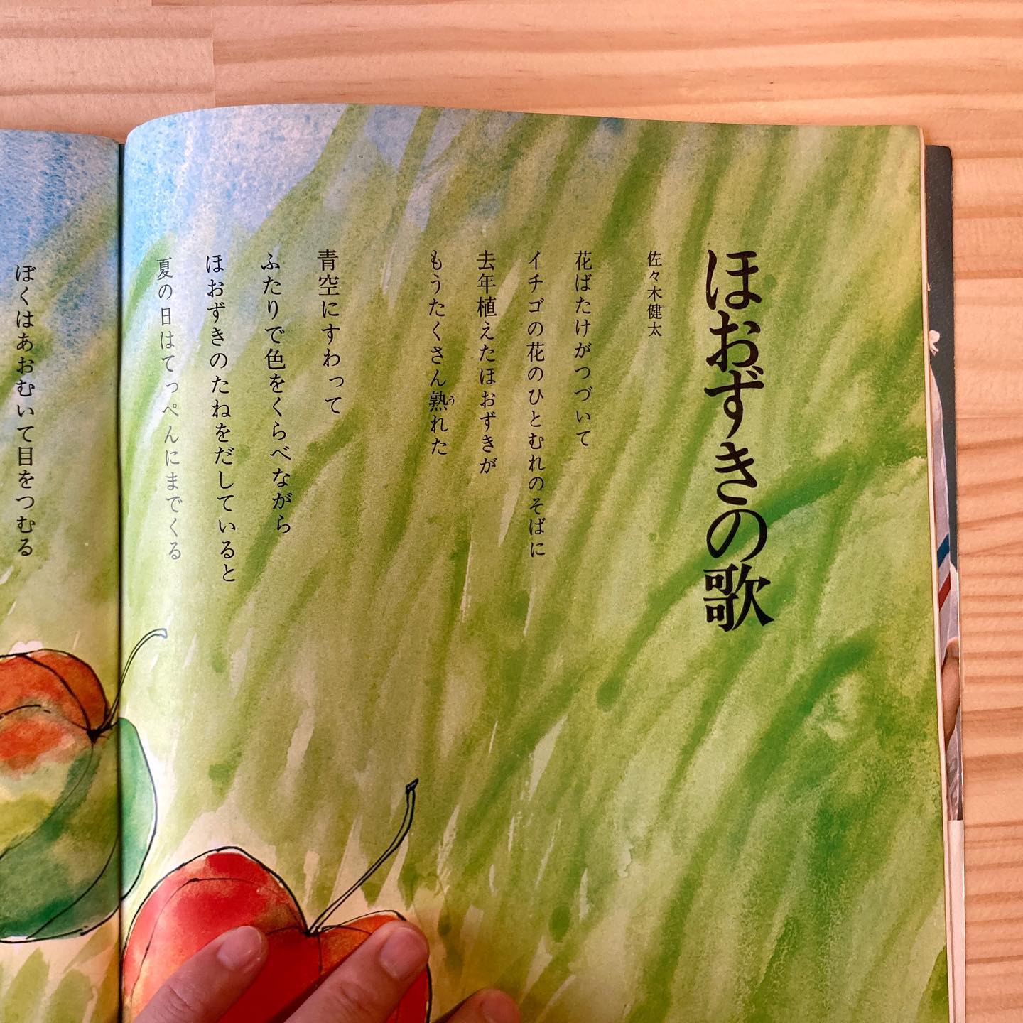チッチ・愛の絵本 いつかどこかで 夏の号 | 本屋 itoito