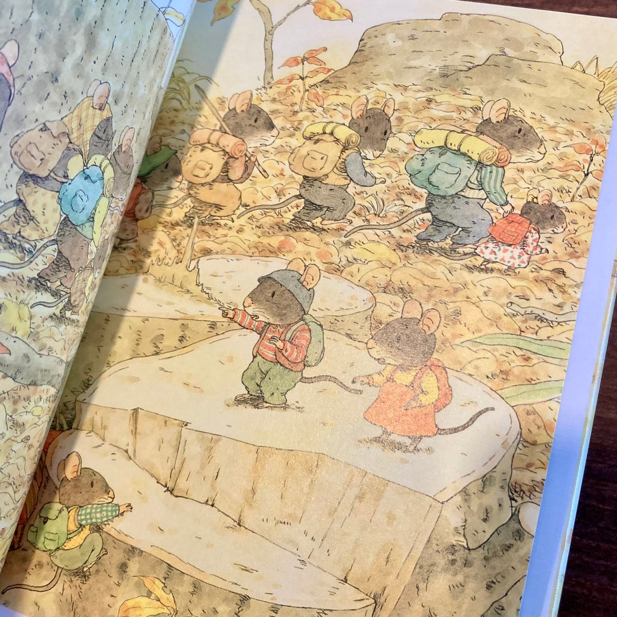 「14ひきのひっこし」　他１１冊　ポケット絵本 14ひきのひっこし」 他11冊 ポケット絵本 - メルカリ