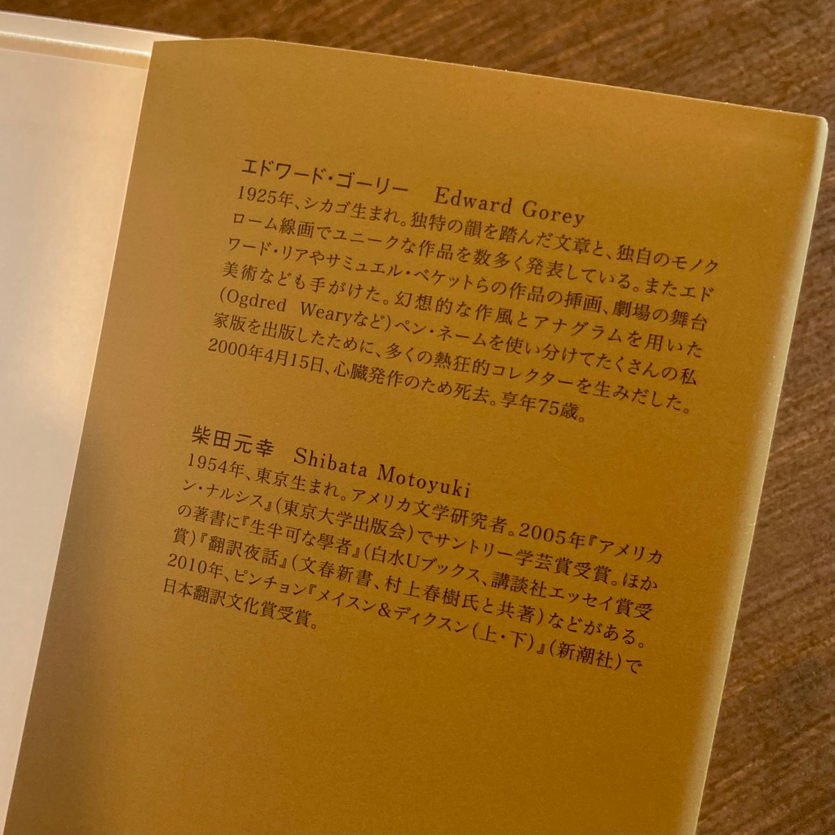 ギャシュリークラムのちびっ子たち または 遠出のあとで | 本屋