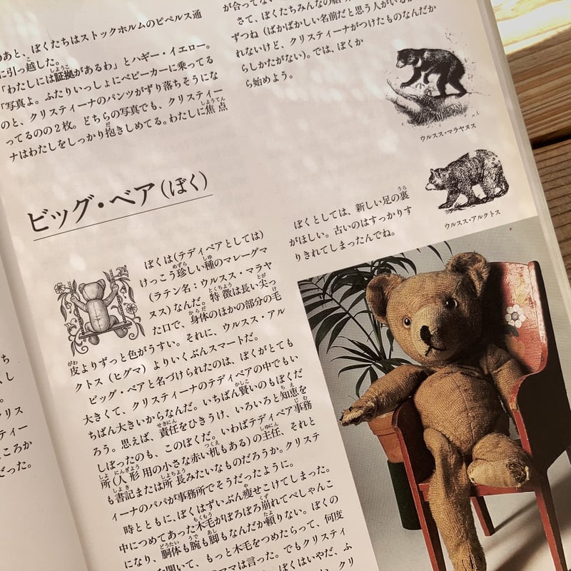 テディベアの書いた本 | 本屋 itoito