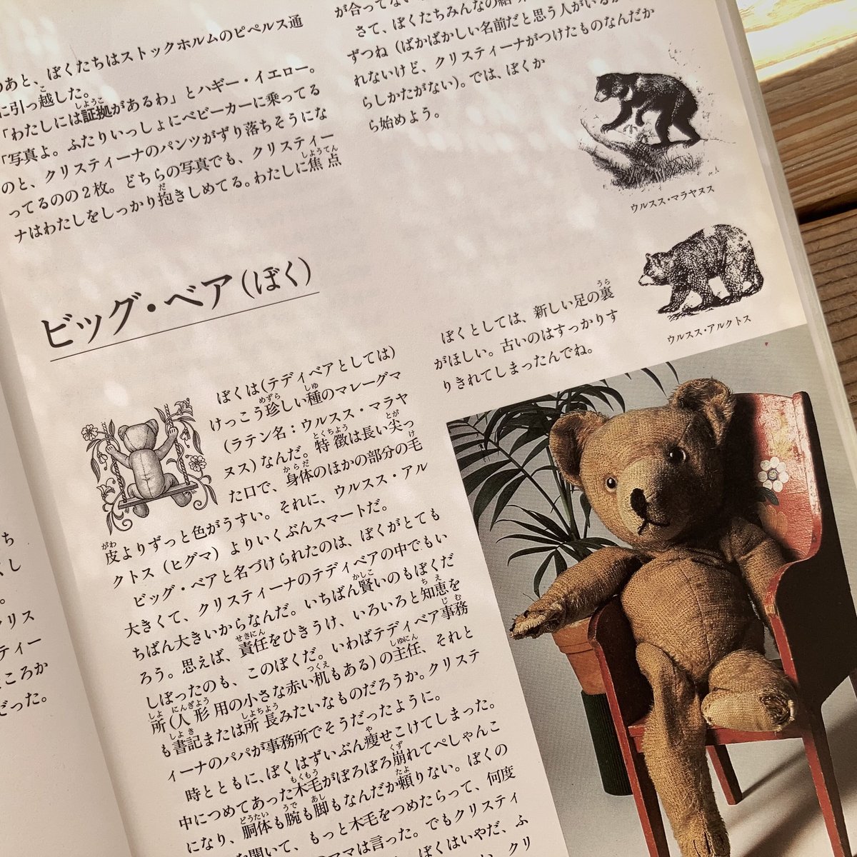 テディベアの本 Amazon.co.jp: テディベア大百科: 世界一くわしいテディベアの本