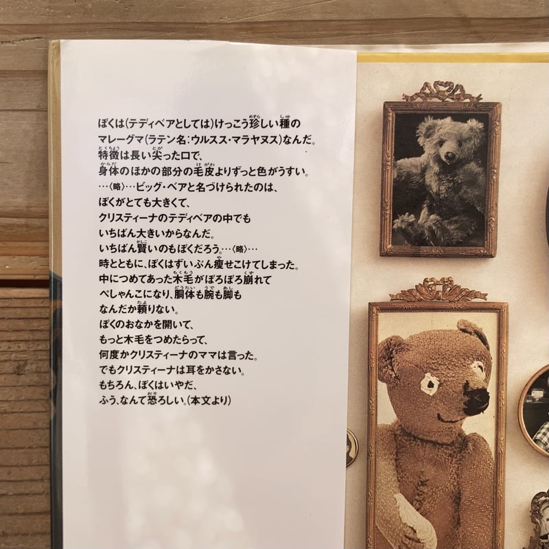 テディベアの書いた本 | 本屋 itoito