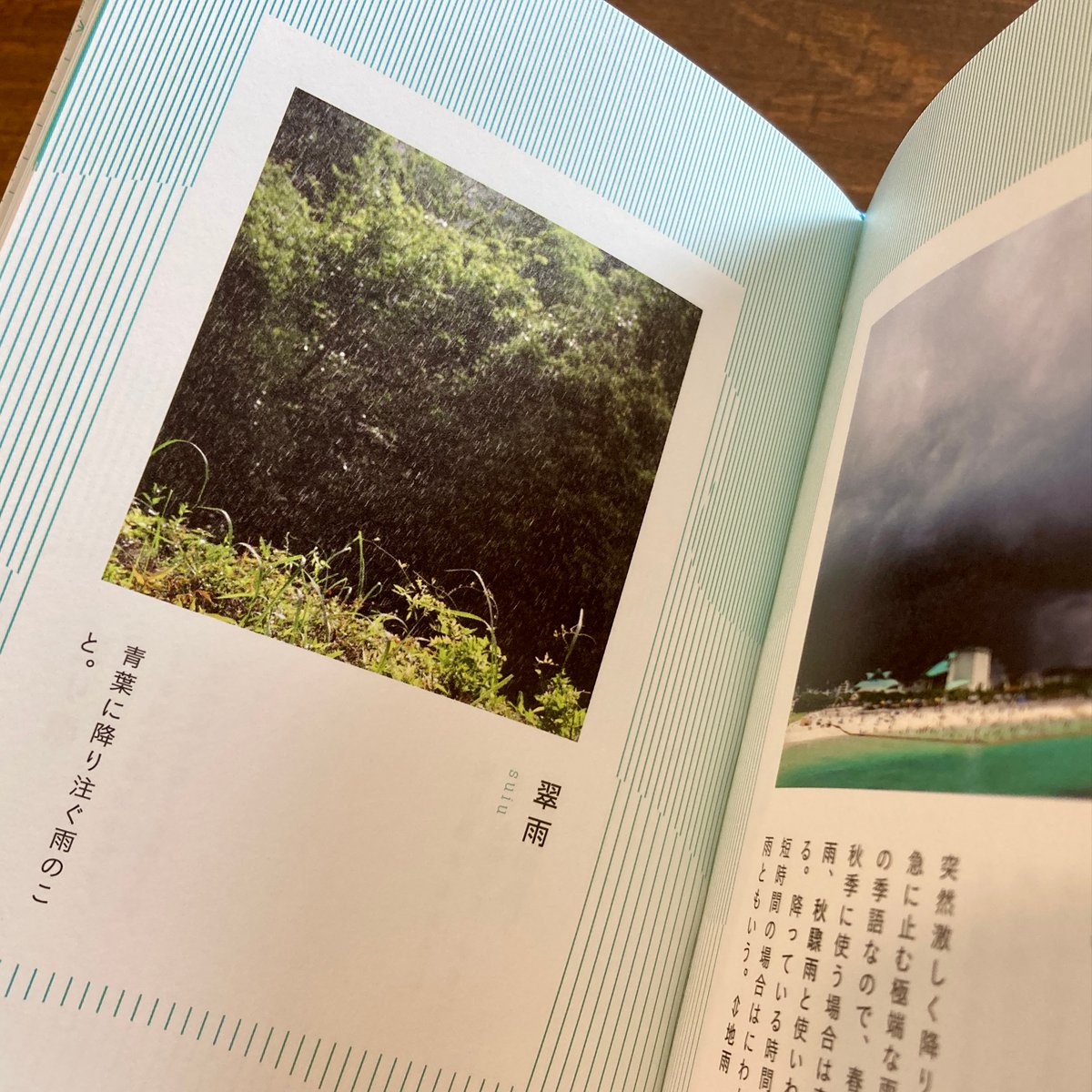 空の辞典 | 本屋 itoito