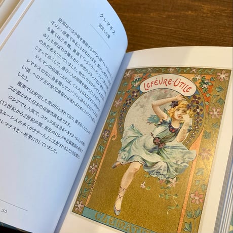 ちいさな手のひら事典 花言葉