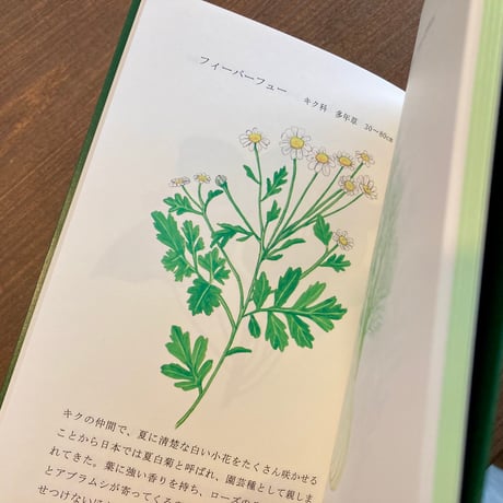 ハーブカタログ