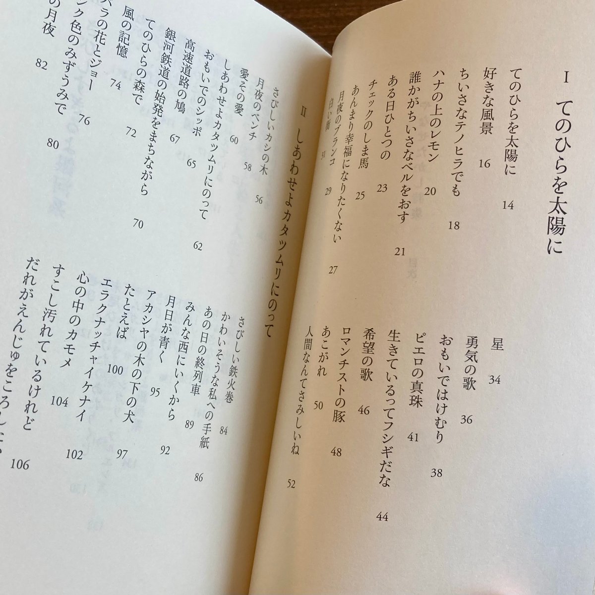 やなせたかし詩集 てのひらを太陽に | 本屋 itoito