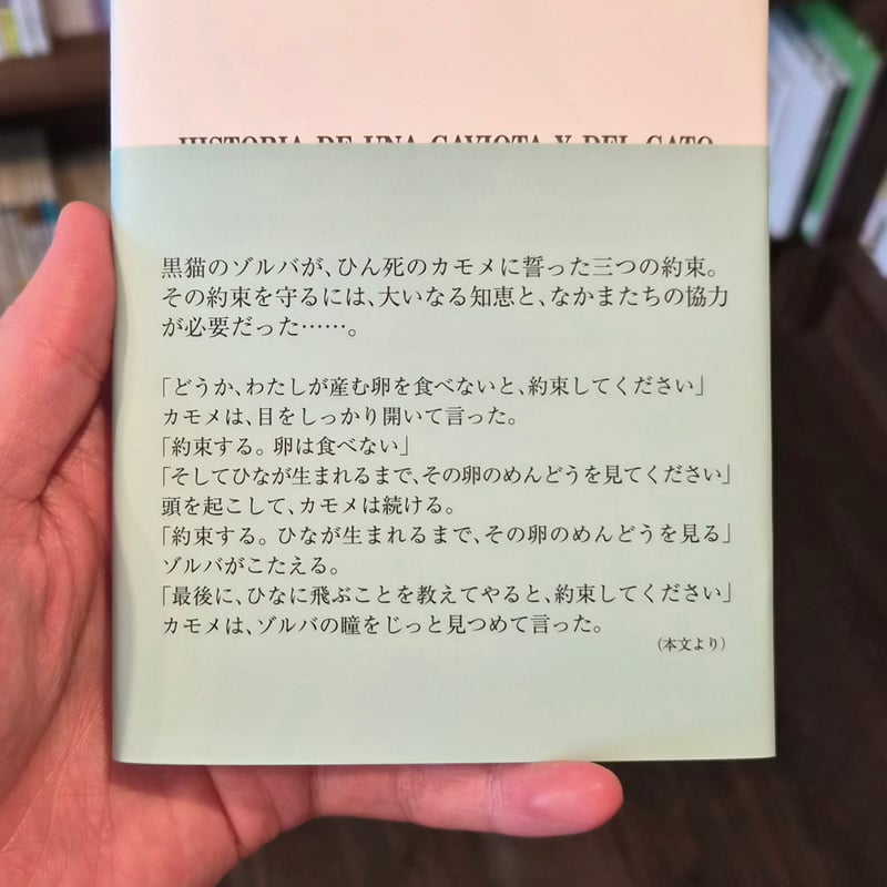 カモメに飛ぶことを教えた猫 | 本屋 itoito