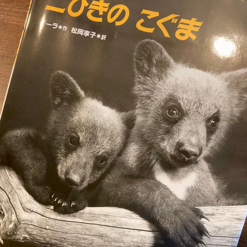 二ひきのこぐま | 本屋 itoito