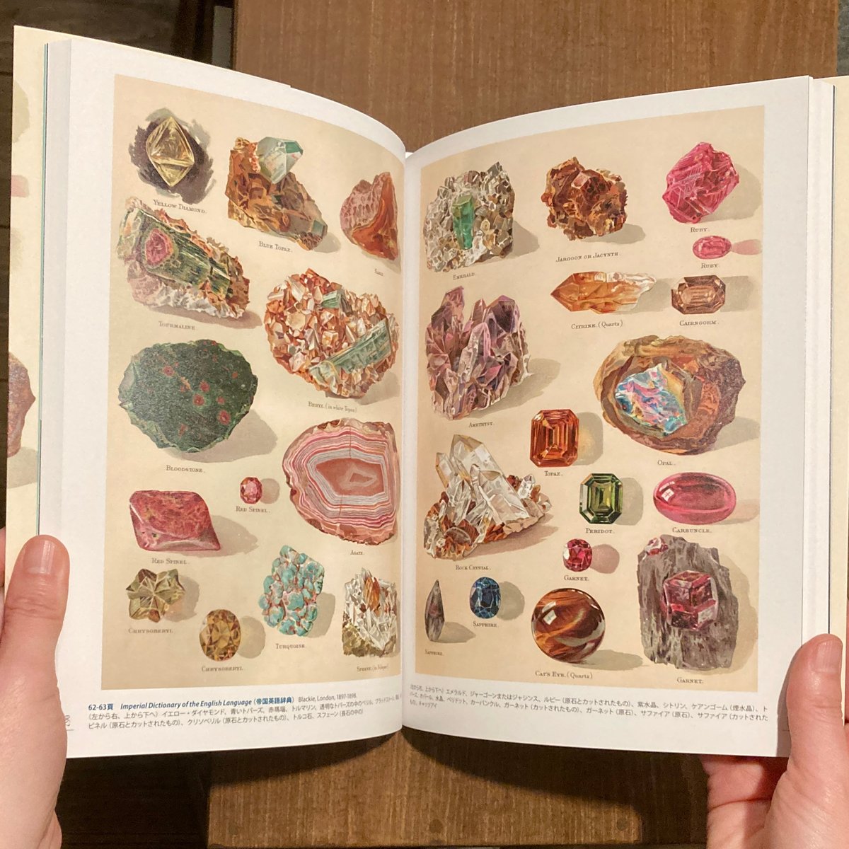 増補愛蔵版 美しいアンティーク鉱物画の本 | 本屋 itoito