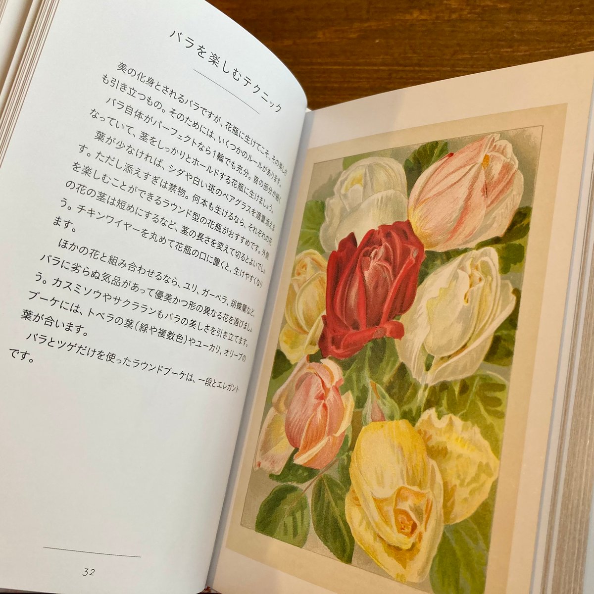 ちいさな手のひら事典 バラ | 本屋 itoito