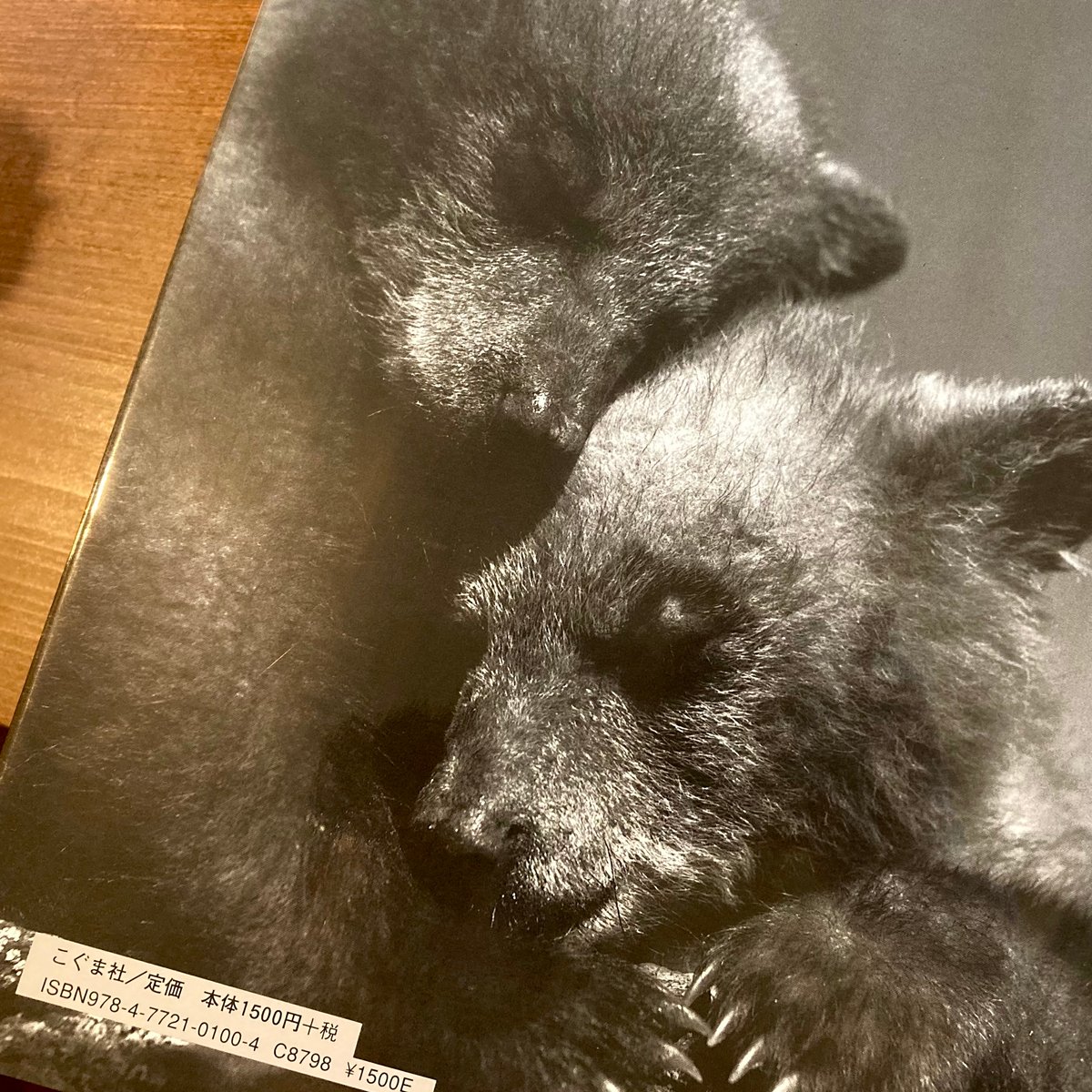 二ひきのこぐま | 本屋 itoito