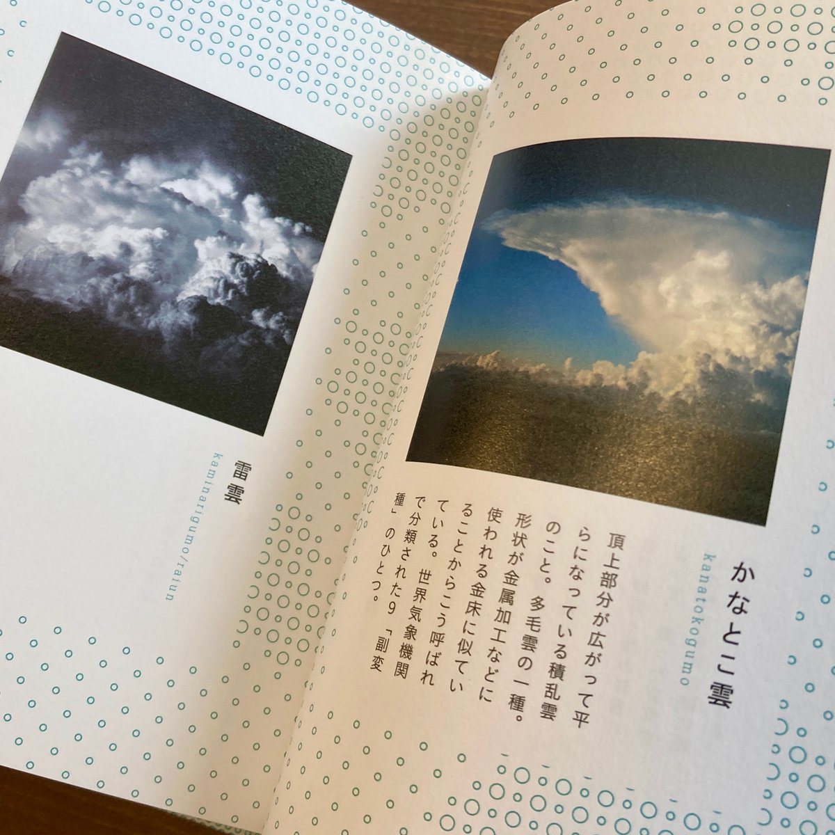 空の辞典 | 本屋 itoito