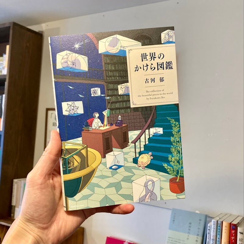 世界のかけら図鑑 | 本屋 itoito