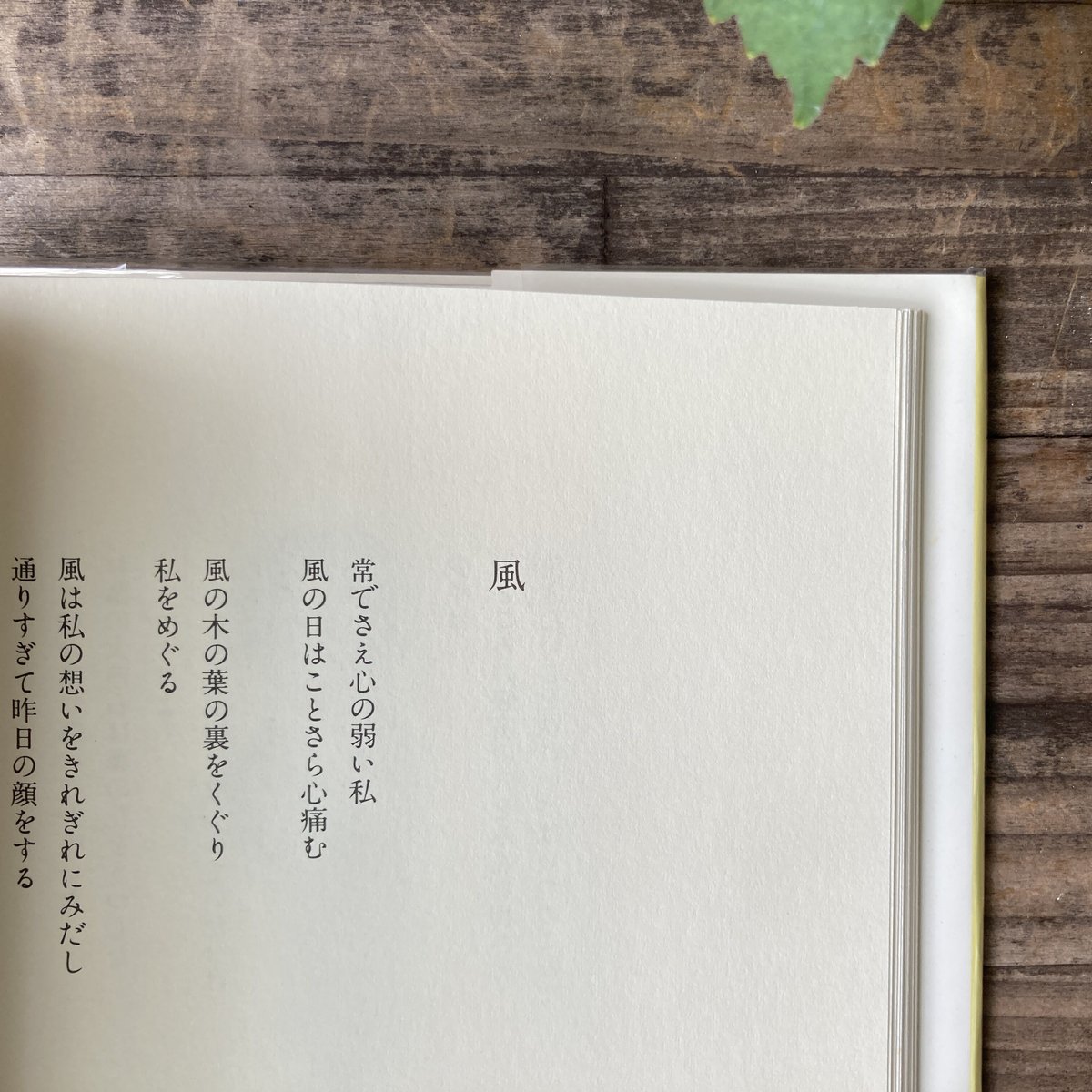 いとしき泣きぼくろ | 本屋 itoito いとしき泣きぼくろ | 本屋 itoito