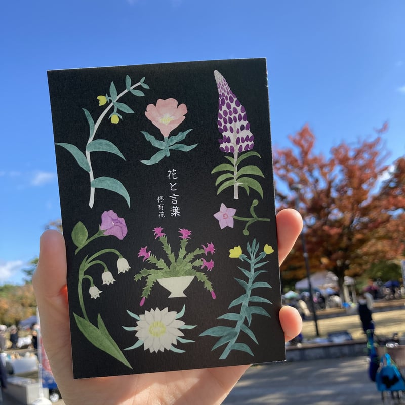 柊有花 | 花と言葉とミタニコーヒードリップバック ＊直筆絵・サイン