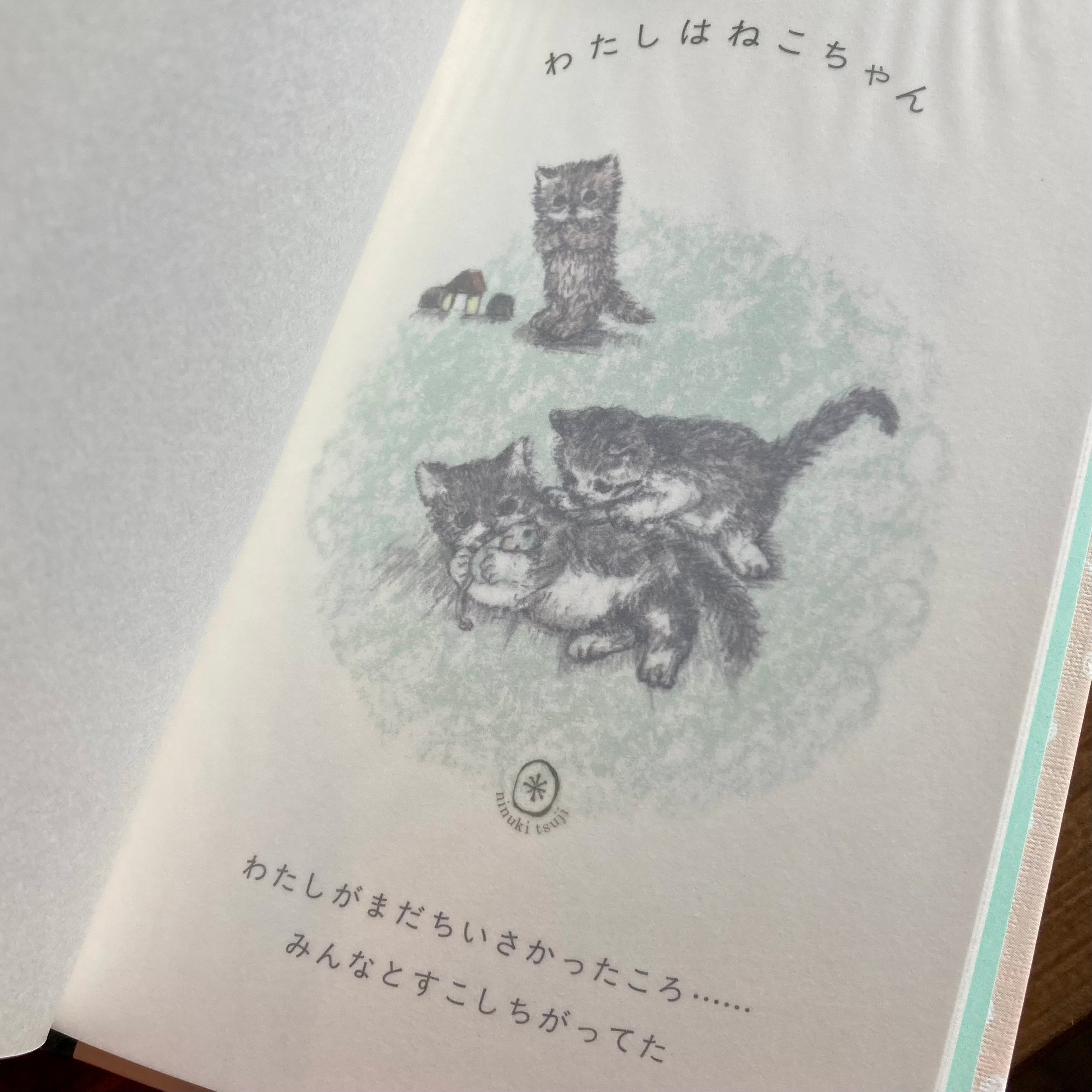 つじにぬき | ねこちゃんのまいにち | 本屋 itoito