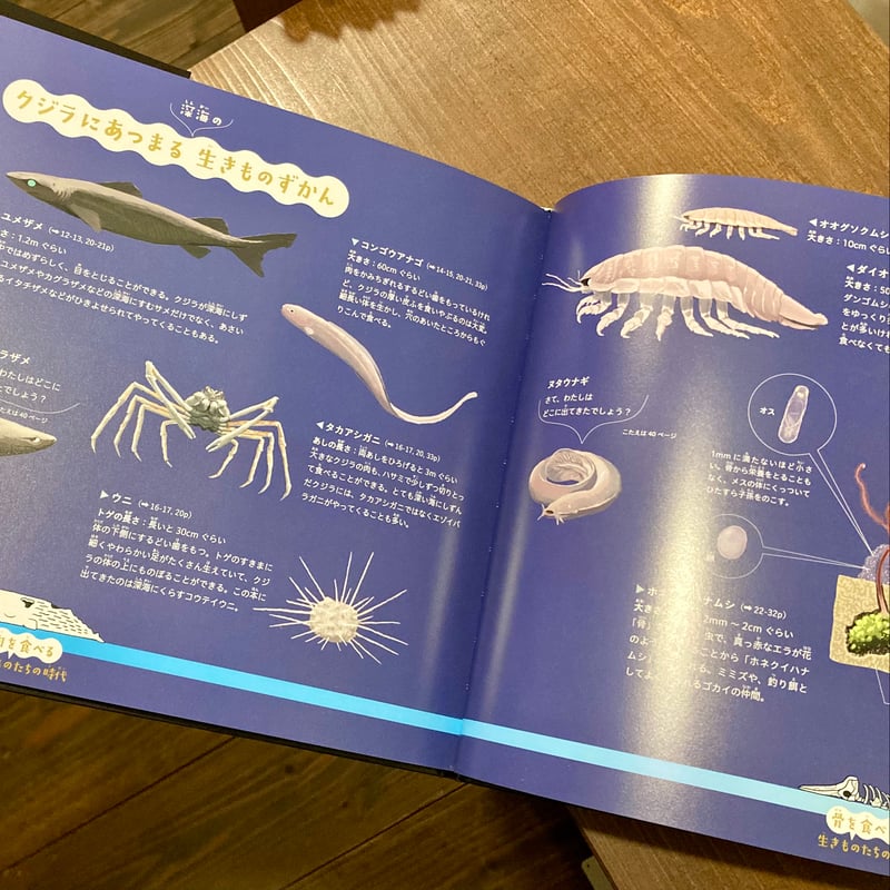 クジラがしんだら | 本屋 itoito