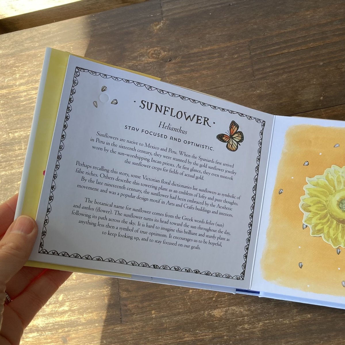 【 Happy day!! ページ】 HAPPY DAY － A BOUQUET IN A BOOK | 本屋 itoito