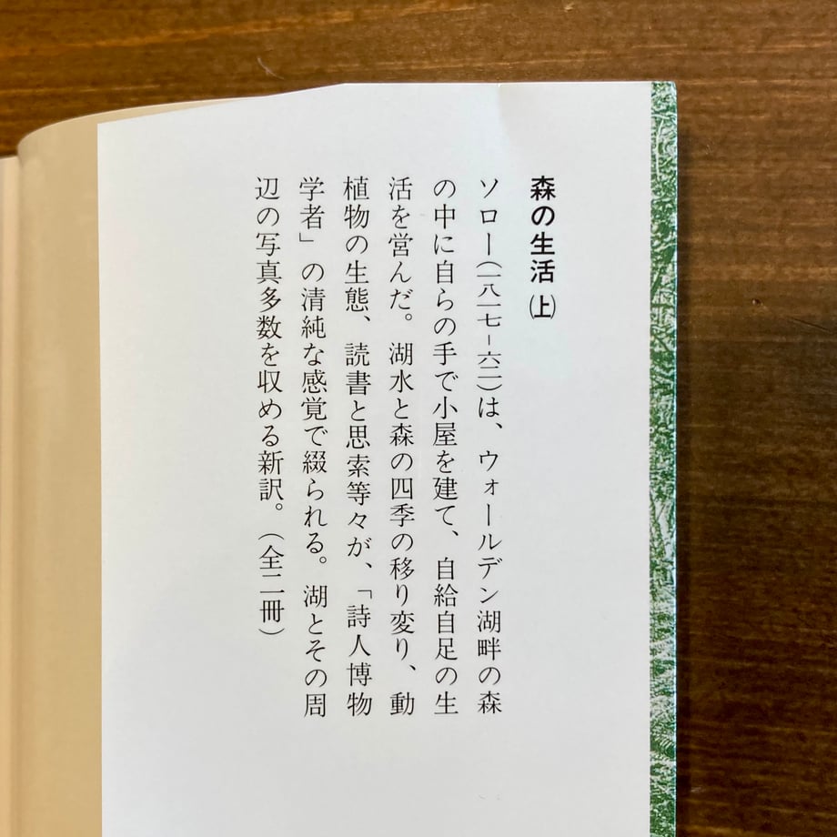 67a8a979ad6dc100749bf619