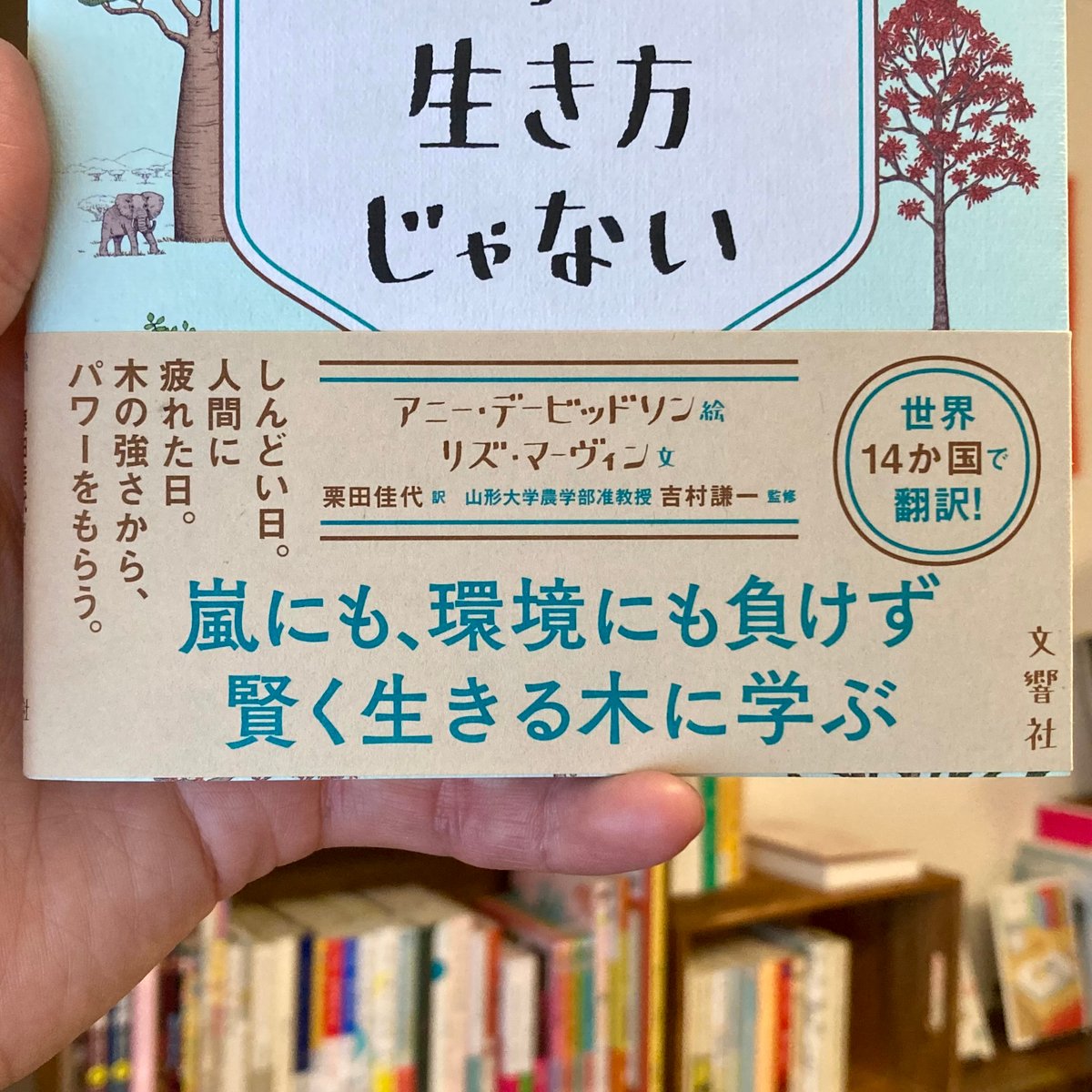 生き方に学ぶ まっすぐだけが生き方じゃない 木に学ぶ60の知恵 | 本屋 itoito
