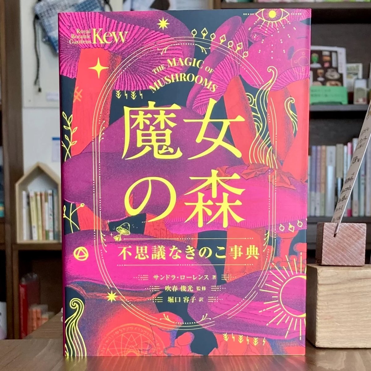 魔女の森 | 本屋 itoito