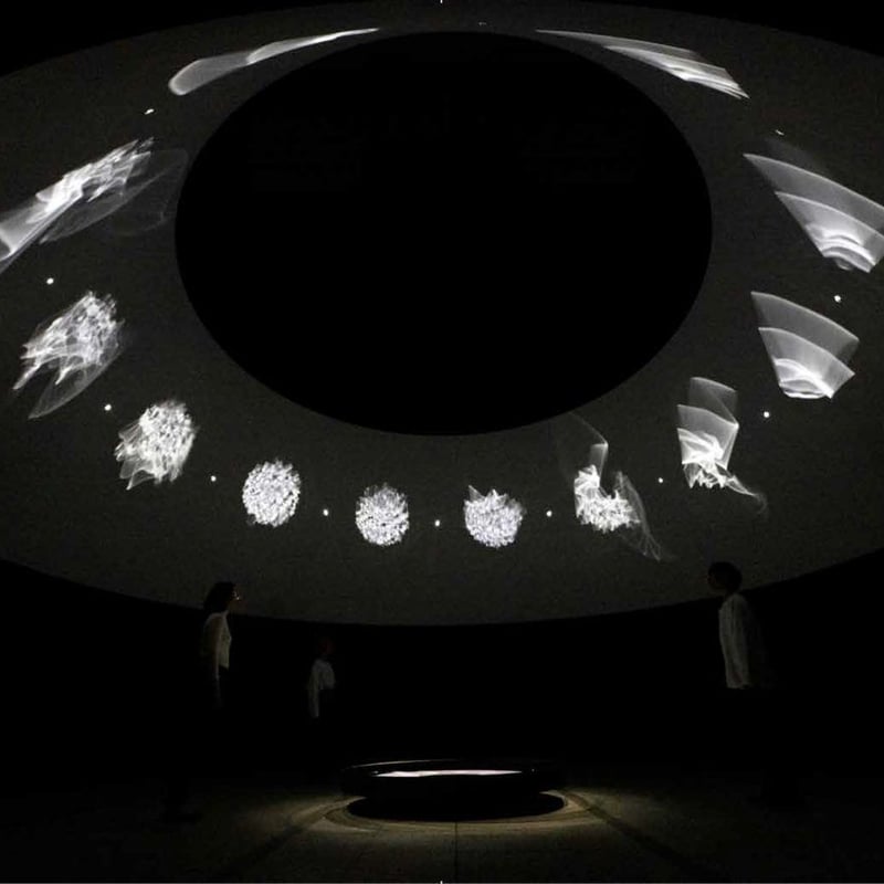 オラファー・エリアソン ときに川は橋となる | 本屋 itoito