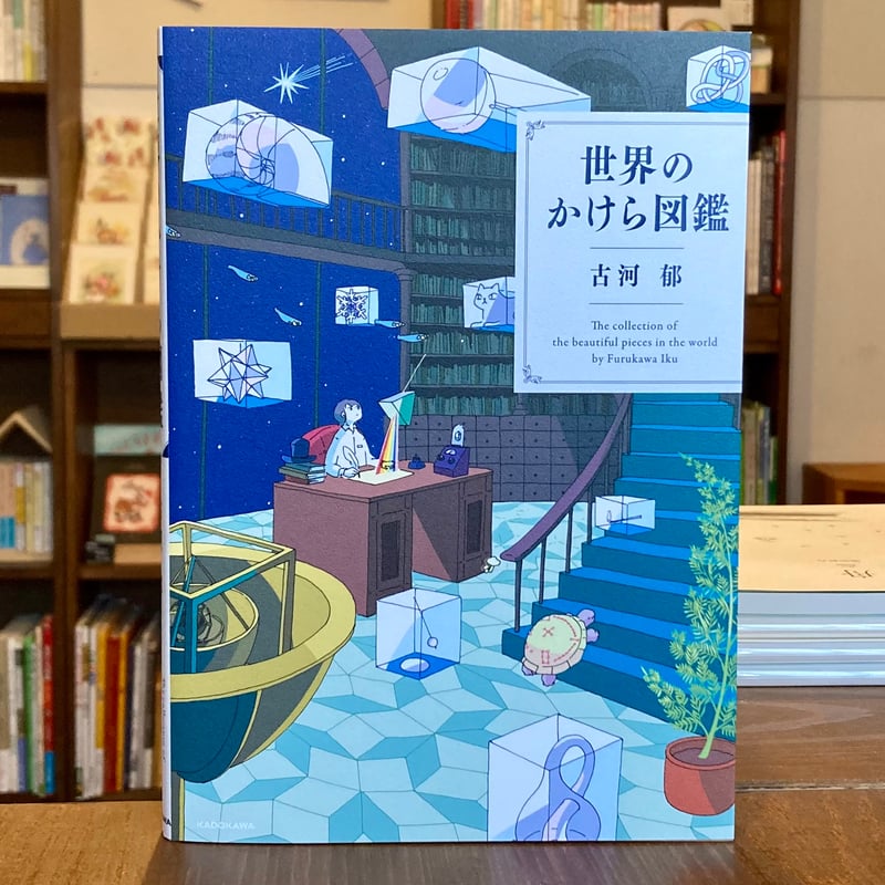 世界のかけら図鑑 | 本屋 itoito