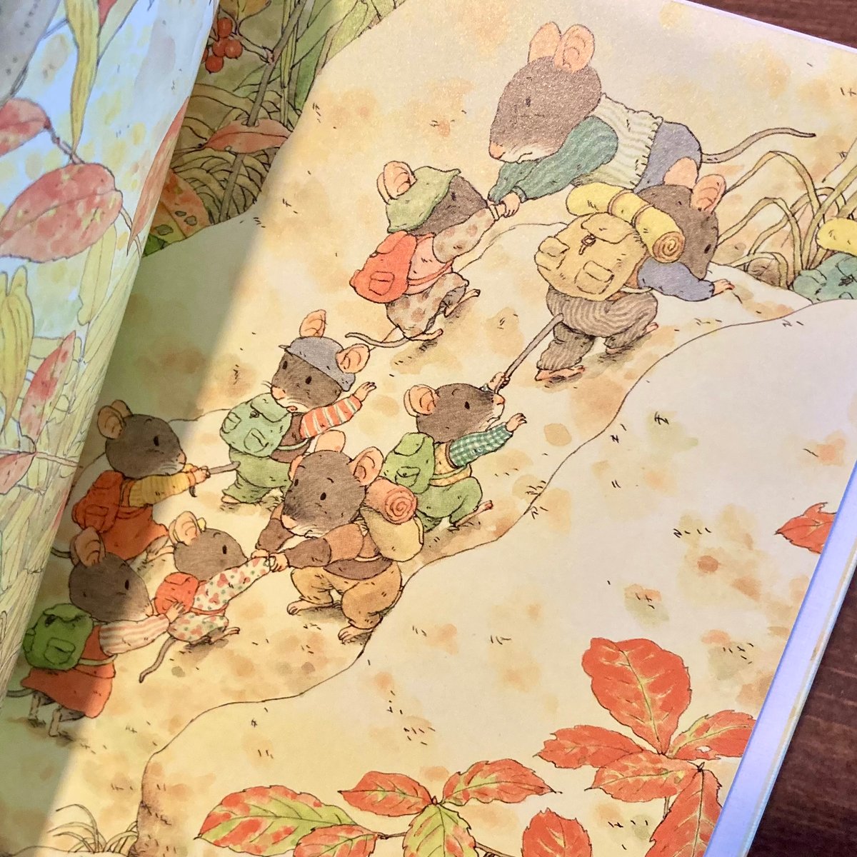 14ひきのポケットえほん 14ひきのひっこし | 本屋 itoito