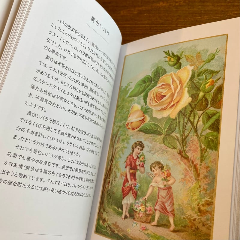 ちいさな手のひら事典 バラ | 本屋 itoito