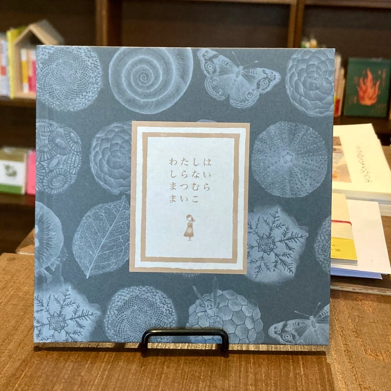 まつむらまいこ| わたしはしらない 新装版 ☆サイン入り | 本屋 itoito