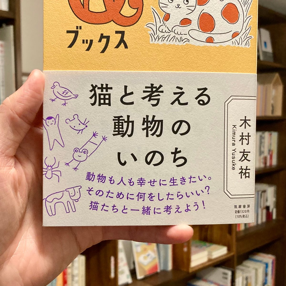 猫と考える動物のいのち | 本屋 itoito