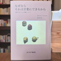 なぜならそれは言葉にできるから