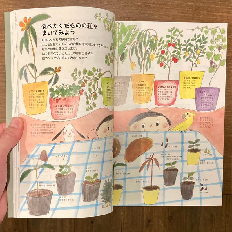 みんなの園芸店 春夏秋冬を楽しむ庭づくり | 本屋 itoito