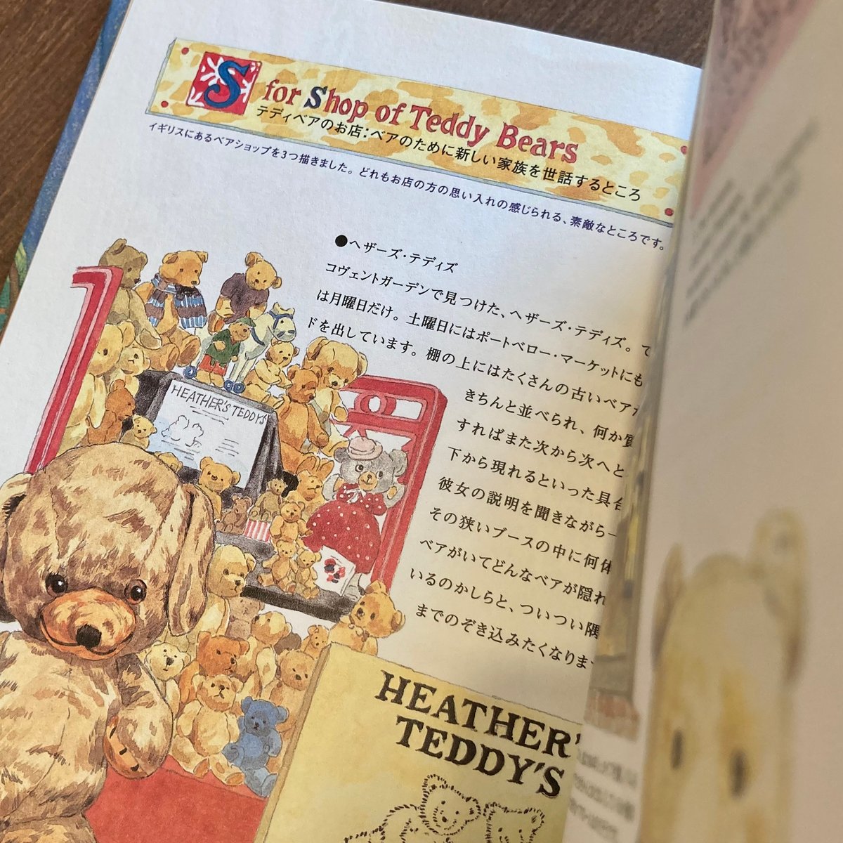 テディベア・ストーリーズ　33びきのテディベア物語 2冊セット テディベア・ストーリーズ Teddy Bear's A to Z | 本屋 itoito