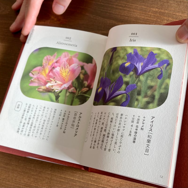 花の辞典 辞典シリーズ | 本屋 itoito