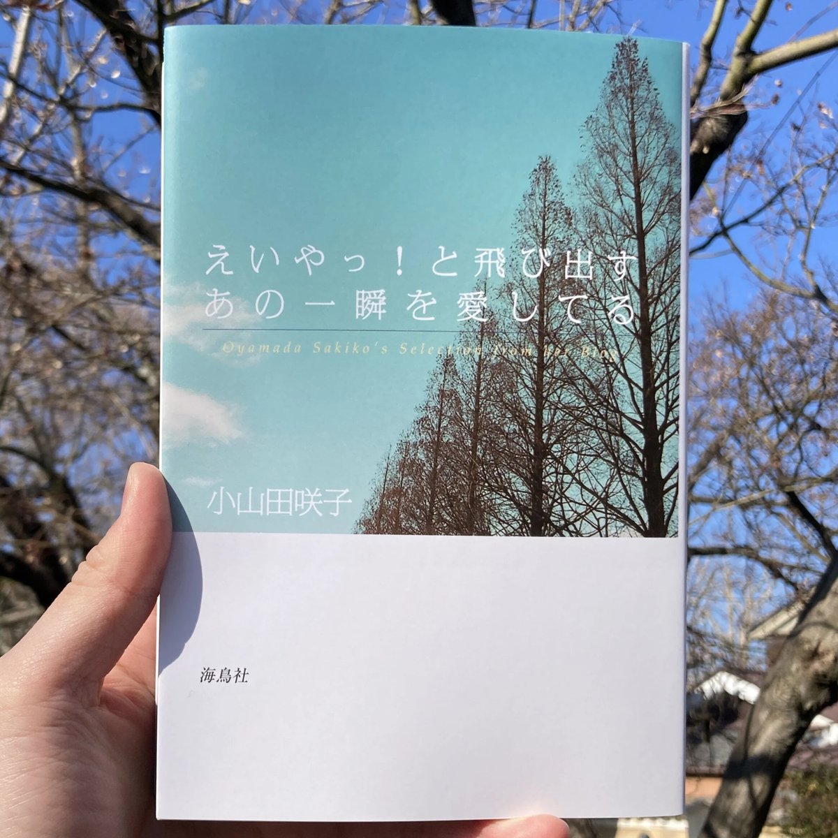 えいやっ!と飛び出すあの一瞬を愛してる : Oyamada Sakiko's … えいやっ！と飛び出すあの一瞬を愛してる | 小山田 咲子 |本