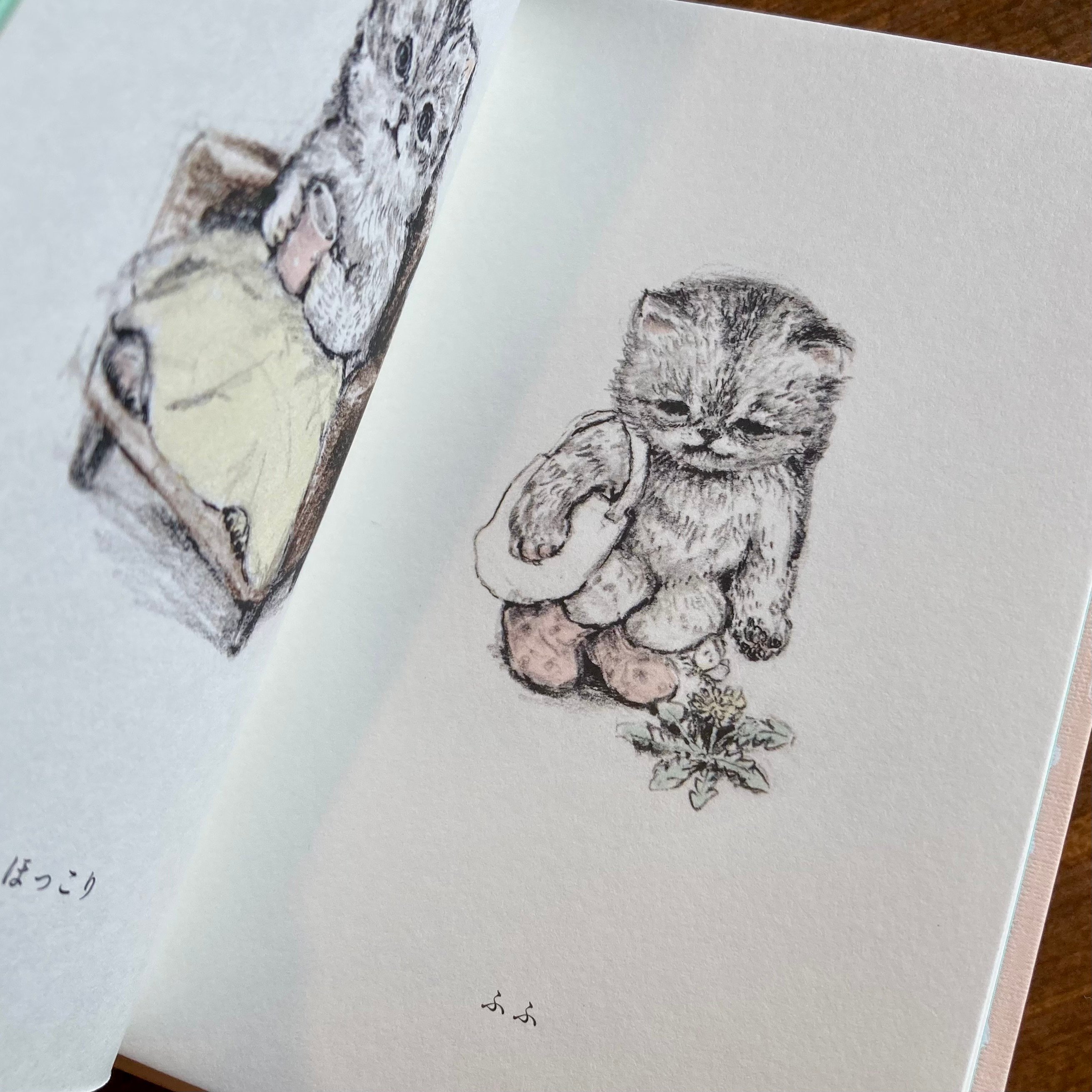 つじにぬき | ねこちゃんのまいにち | 本屋 itoito