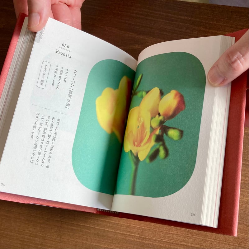 花の辞典 辞典シリーズ | 本屋 itoito