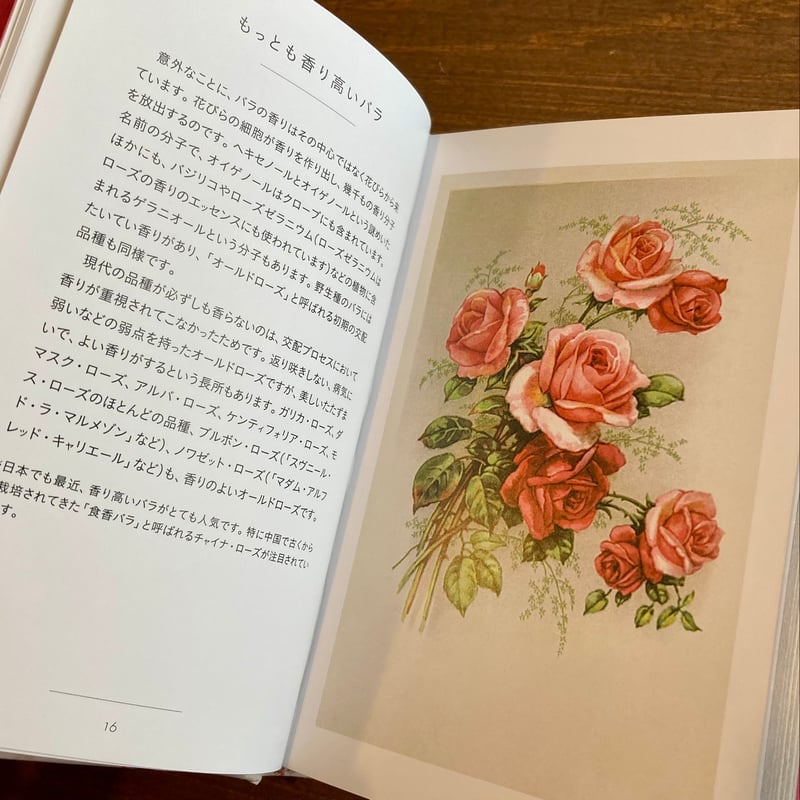 ちいさな手のひら事典 バラ | 本屋 itoito
