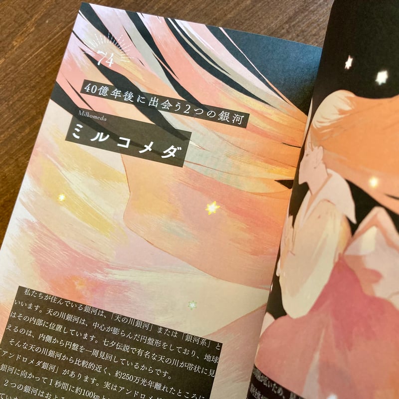 世界のかけら図鑑 | 本屋 itoito