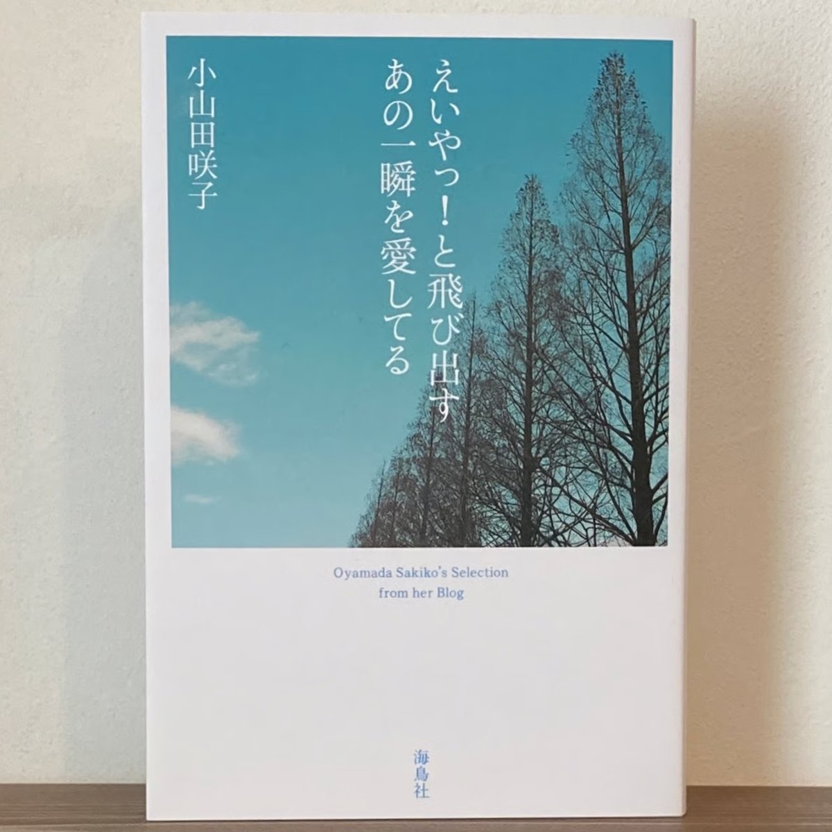 えいやっ！と飛び出すあの一瞬を愛してる 再新装版 | 本屋 itoito