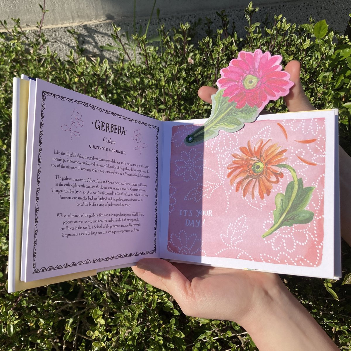 HAPPY DAY － A BOUQUET IN A BOOK | 本屋 itoito