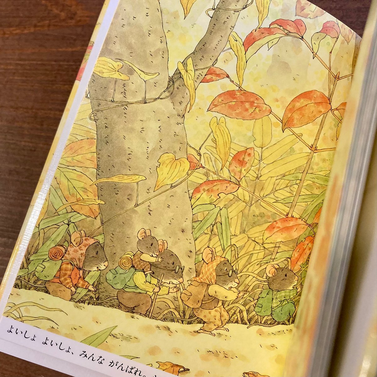 「14ひきのひっこし」　他１１冊　ポケット絵本 ポケットえほん 14ひきのひっこし (14ひきのポケットえほん 14