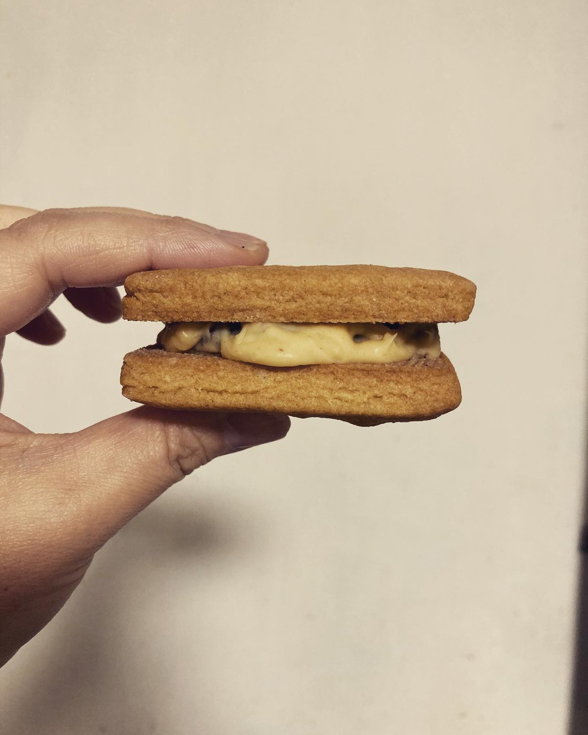 SIROCARA 陶器 置物 レーズンバターサンド（レーズンバター