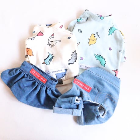 即納【サンプルSALE】恐竜Tシャツ（ミントグリーン）