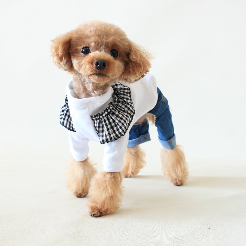 犬服】生地見本☆パンダちゃんと♡ 見よ