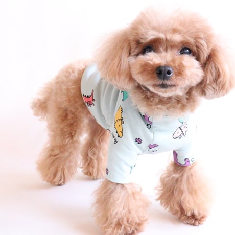 即納【サンプルSALE】恐竜Tシャツ（ミントグリーン）