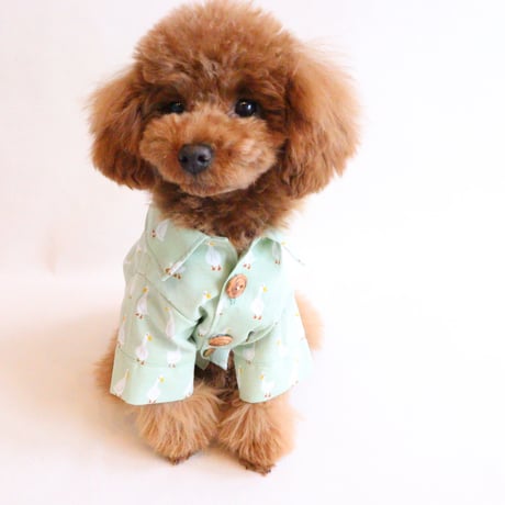 即納★【サンプルSALE】Duckシャツ（黄緑）